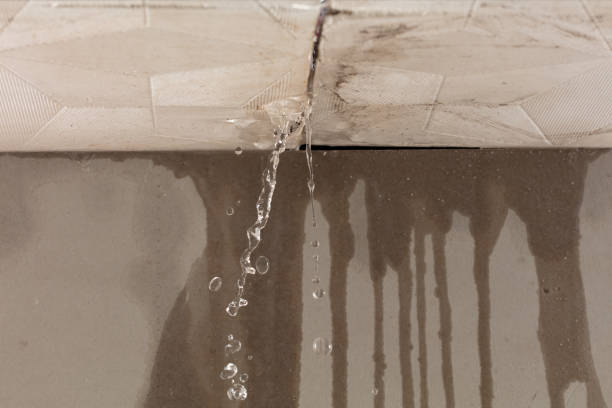 Professional Commercial Water Damage Restoration technician working in Trinidad, TX